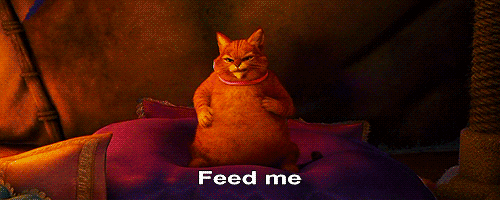 if you dare feed me gif
