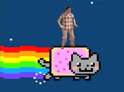 ride the cat gif